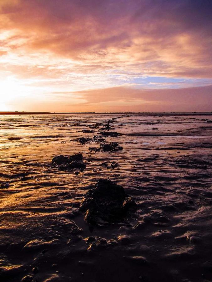 Vissershuisje Aan De Waddenzee Paesens Dış mekan fotoğraf