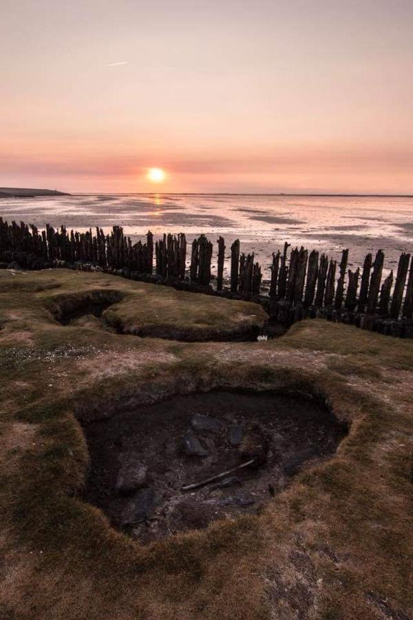 Vissershuisje Aan De Waddenzee Paesens Dış mekan fotoğraf