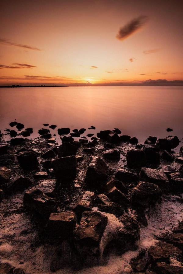 Vissershuisje Aan De Waddenzee Paesens Dış mekan fotoğraf