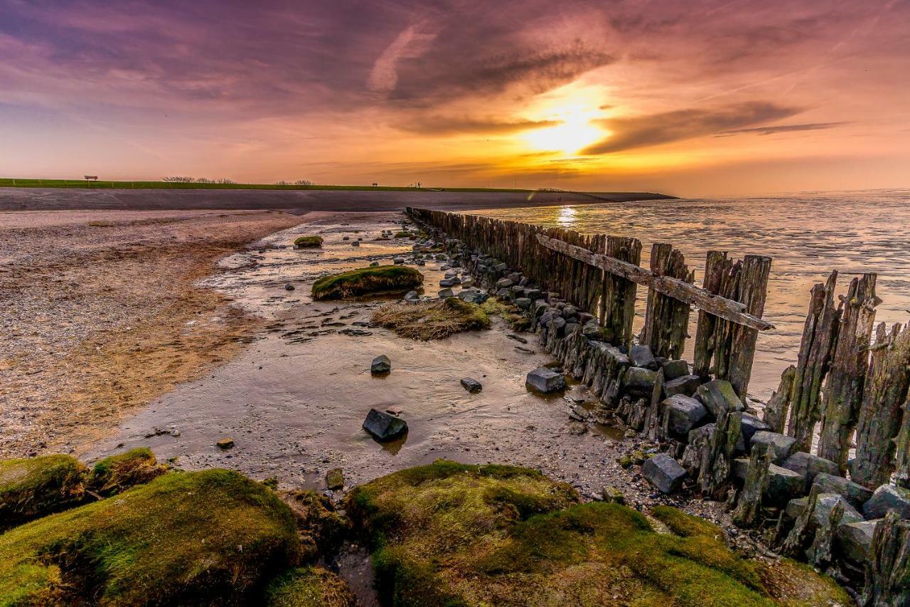 Vissershuisje Aan De Waddenzee Paesens Dış mekan fotoğraf